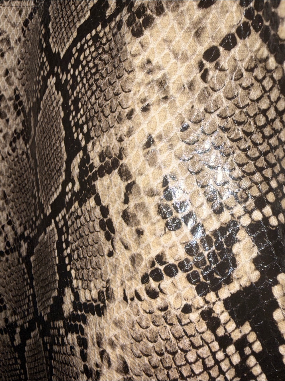Snake-Print Tote Bag in Black and Cream - Picture 2 of 7
